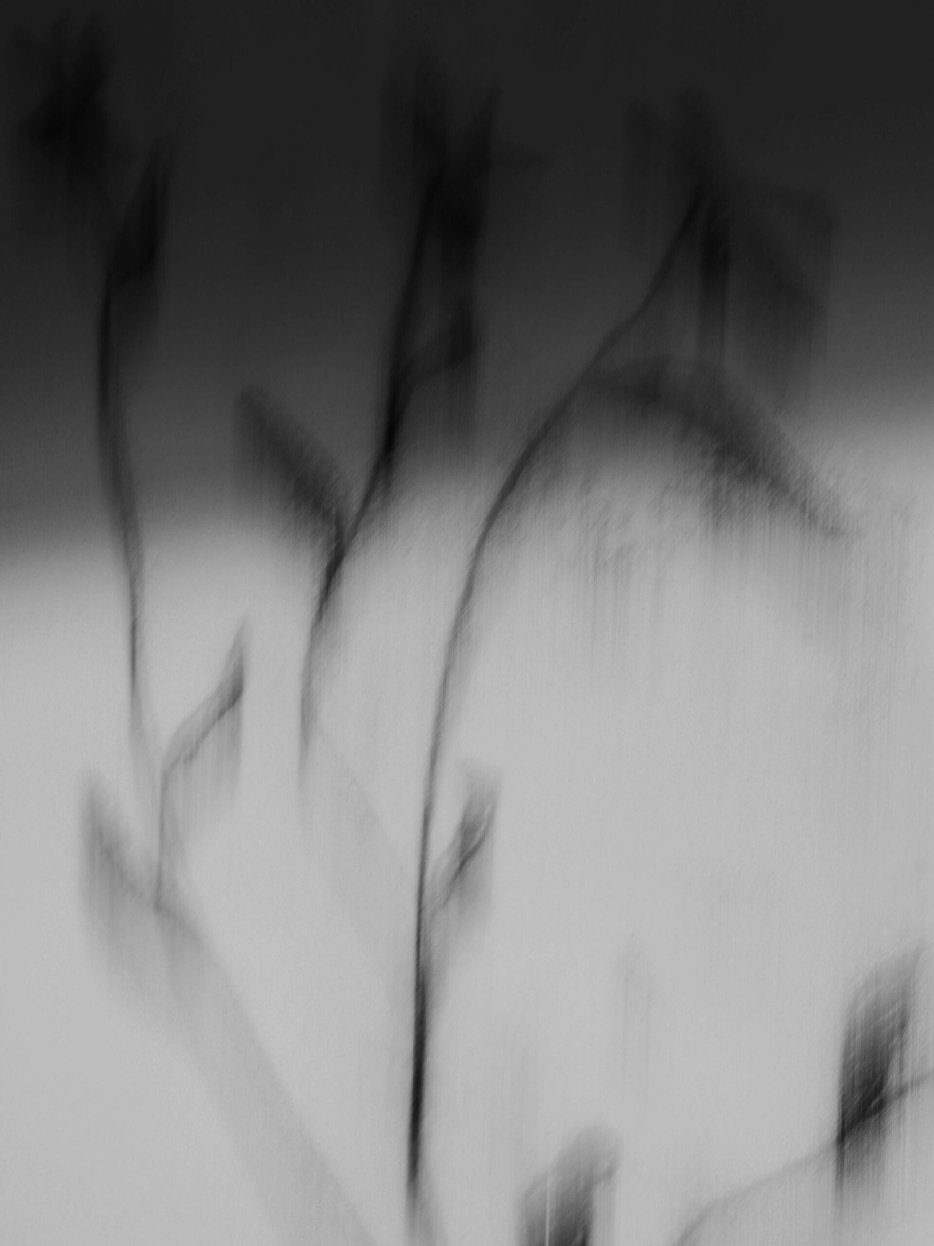 draw-motion